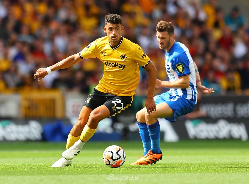 标准化篮球 标准化篮球