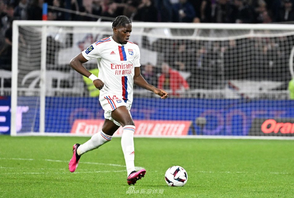 5年保定马 5年保定马